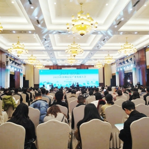 多元共生·跨界共赢 2025年贵州民宿产业发展大会在贵阳启幕 共绘产业高质量发展新蓝图